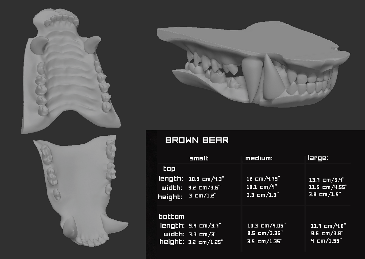Grizzly, brown bear - Jawset
