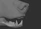 Grizzly, brown bear - Jawset