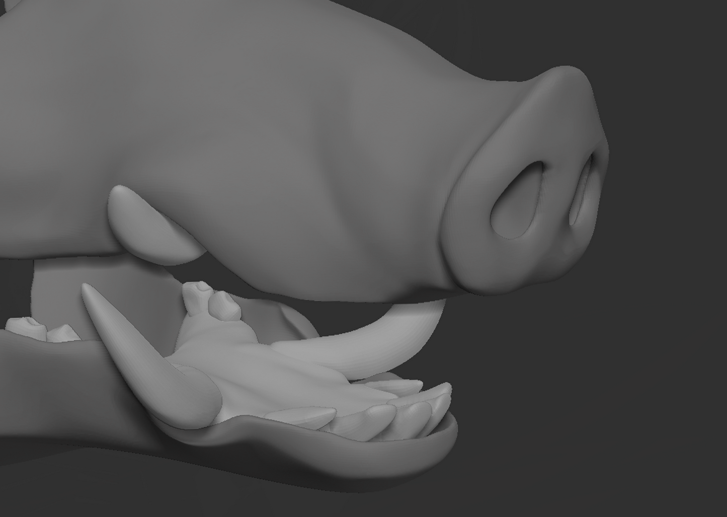 Boar - Jawset
