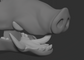 Boar - Jawset