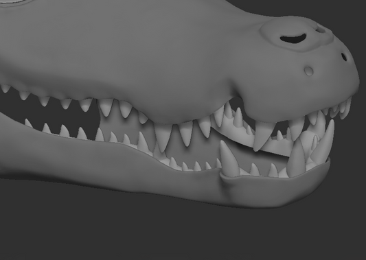 A 3D rendering of a caiman fursuit jawset with detailed teeth in a light grey color, showcasing fit in a fursuit base and shown against a dark grey background.