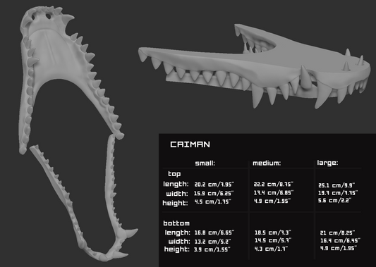 Two light grey 3D renderings of a caiman fursuit jawset showcasing the jaws open and closed against a dark grey background; a size chart and measurements are shown to the right.