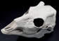 Photo showing an ivory colored, plastic 3D printed deer skull fursuit head base complete with metal hardware at a 3/4 angle against a black background.