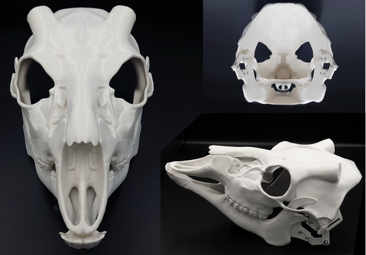 Photo collage showing an ivory colored, plastic 3D printed deer skull fursuit head base complete with metal hardware featuring a front, side, and back view against a black background.