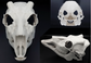 Photo collage showing an ivory colored, plastic 3D printed deer skull fursuit head base complete with metal hardware featuring a front, side, and back view against a black background.