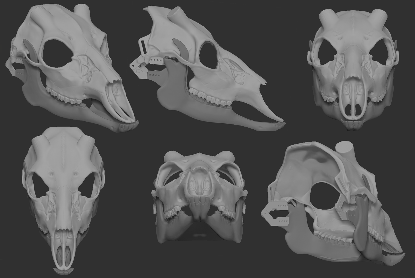 A collection of 3D rendered, light grey images showing different angles of a deer skull head base designed for fursuits, displaying the front, side, and back views against a dark grey background.