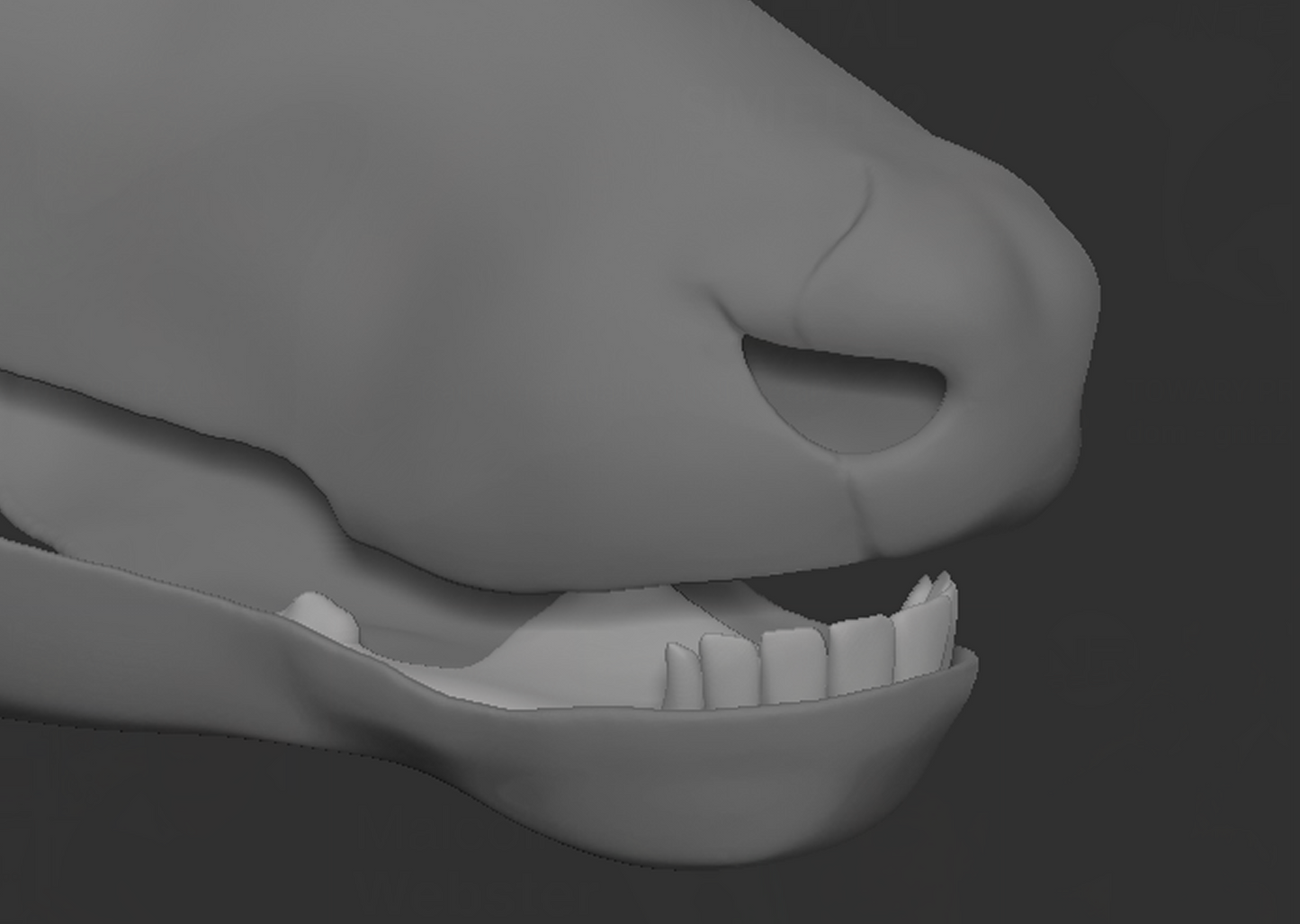 Deer - Jawset
