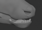 Deer - Jawset