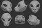 Generic small feline - Head base