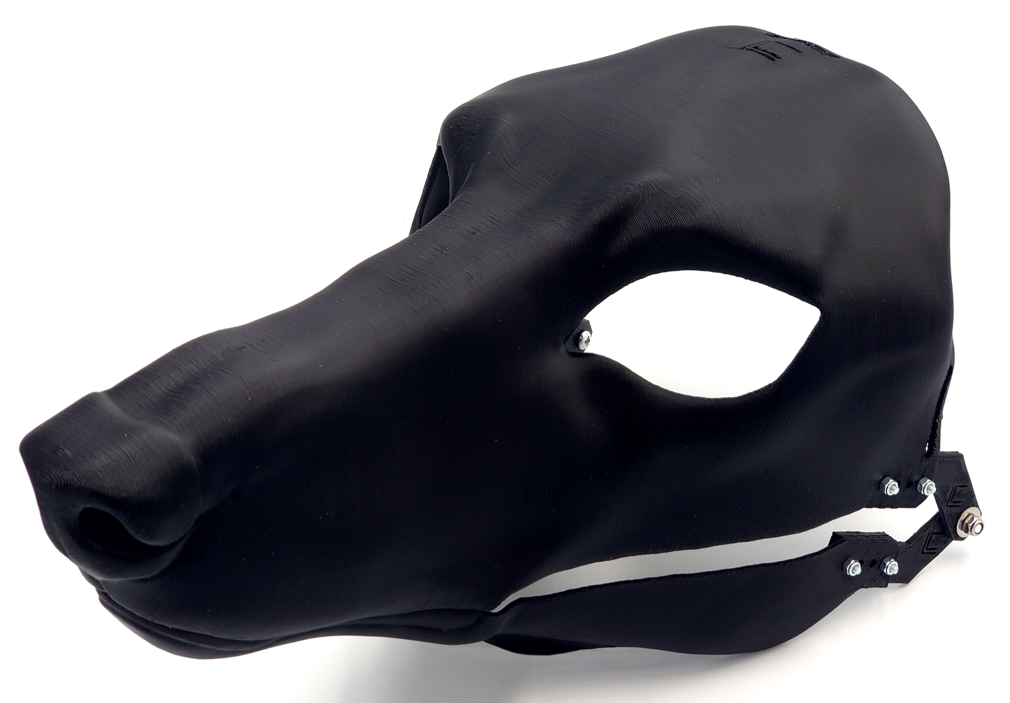 Borzoi - Head base