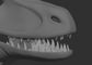 Raptor, dromaeosaurus - Jawset