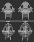 Smilodon - Skull base