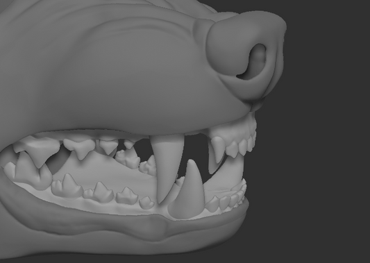 Snarly wolf, canine - Jawset